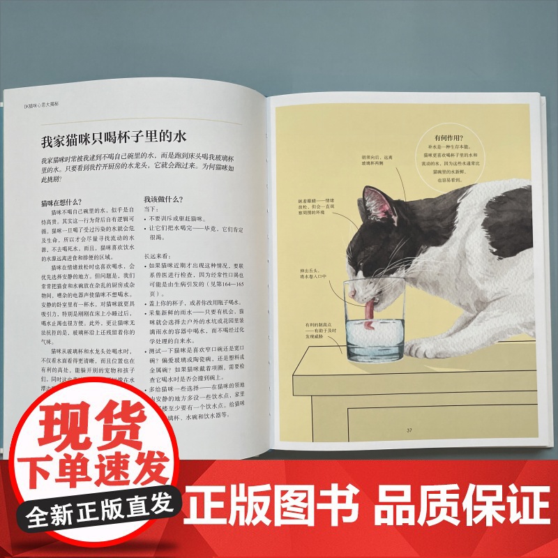 DK猫咪心思大揭秘 乔刘易斯上海文化出版社宠物生活喵星人铲屎官日常高清大图