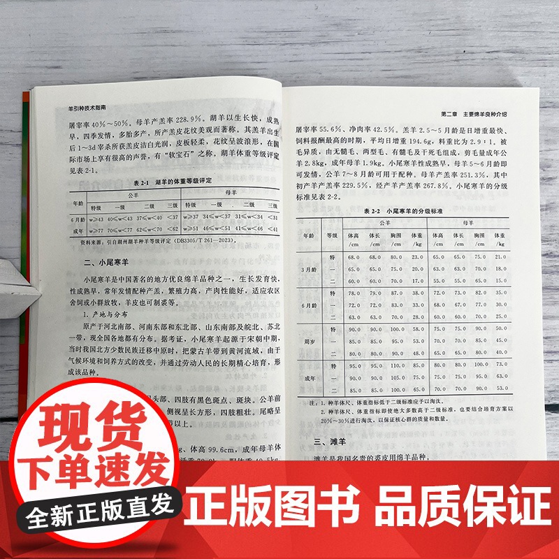 羊引种技术指南 羊引种全流程解析 羊安全引种关键环节讲解 羊引种注意事项全解 羊引种技术 羊繁殖技术 畜牧养殖相关专业参高清大图