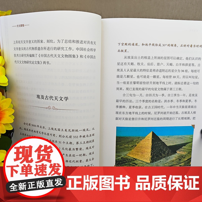 中国少年儿童百科全书全套4册 科技之光少年科学家通识从书写给孩子的科普类书籍小学生五六年级读物四年级阅读课外书必读书籍正高清大图