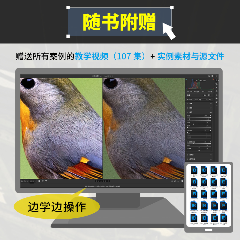 [正版]光影之书 Photoshop Camera Raw摄影后期与创意合成 赵鹏 PS摄影拍摄后期合成处理构图光影调色高清大图
