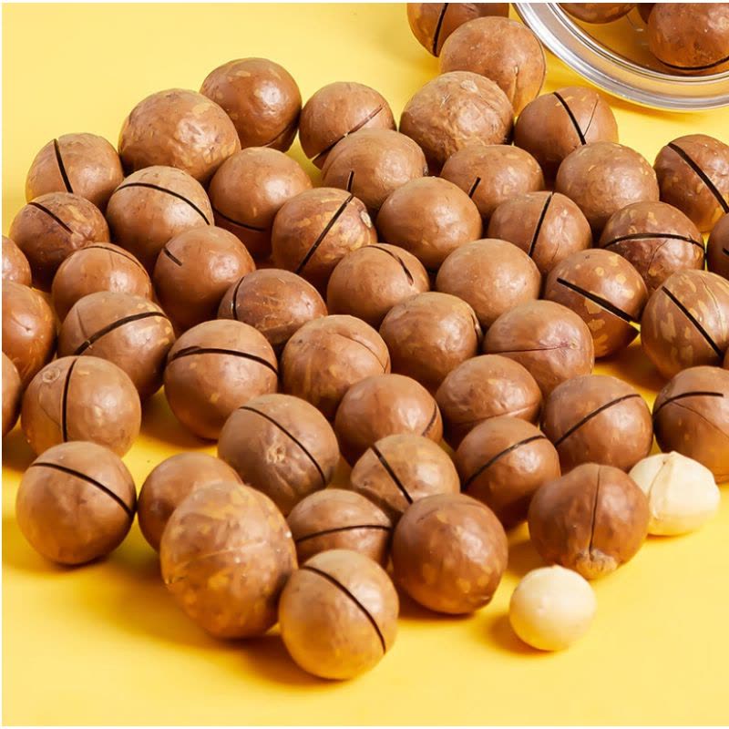 臻味 澳洲夏威夷果 500g 瓶图片