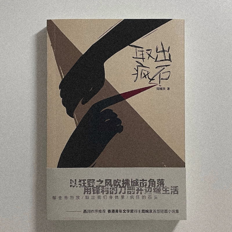 醉染图书取出疯石9787532181971高清大图