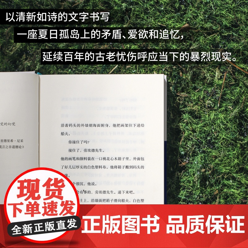 他们涉海而来 爱尔兰奥德丽马吉广西师范大学出版社高清大图