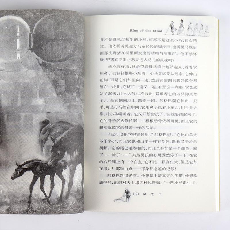 风之王[新蕾出版社] [正版]风之王课外书新蕾出版社国际大奖小说升级版非注音版赵水芬译玛格莉特亨利著小学生3456三四五