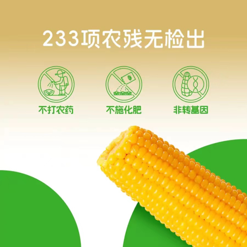 圣牧严选 源漠优品 有机糯玉米10穗/箱 约2kg
