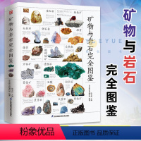 [正版]矿物与岩石完全图鉴 矿石科普百科大全书籍 金刚石玛瑙花岗岩大理石黄土等知识风貌形成成分自然成因特征鉴定鉴别 自