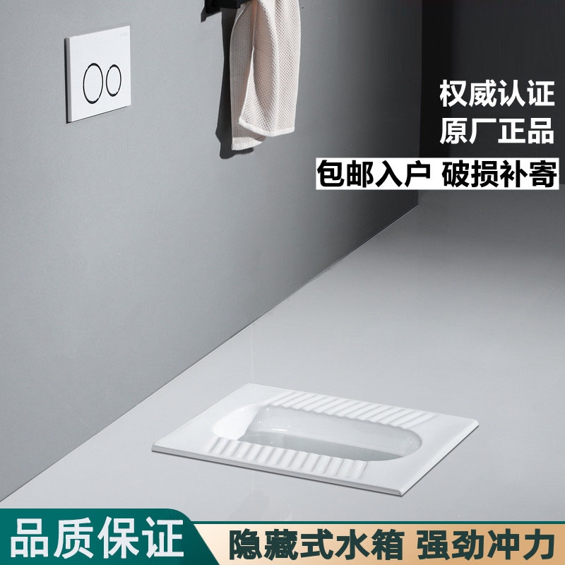 隐藏水箱蹲便器