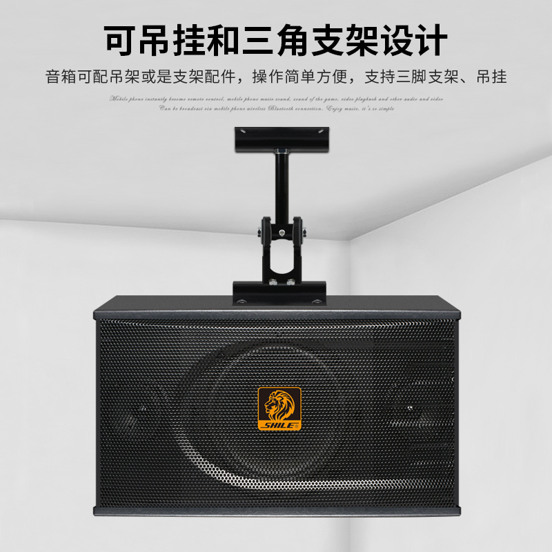 狮乐 BX118专业家庭ktv音响 家用卡拉OK音箱/会议室/教学/活动舞木纹红AV音箱