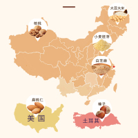 [养生燕麦]西麦多种坚果燕麦片520g*3袋装谷物速食代餐独立小包冲饮营养早餐饱腹