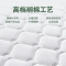 床垫椰棕垫棕榈硬垫薄款垫子软垫古达租房专用床垫夏季薄款可折叠