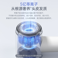 蓝宝(BLAUPUNKT)高速吹风机家用等离子护发大风力速干恒温电吹风机BP-FT01-BAI