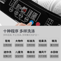 长虹12公斤家商两用大洗衣机 全自动波轮式风干节能洗脱一体机 12公斤两用风干款