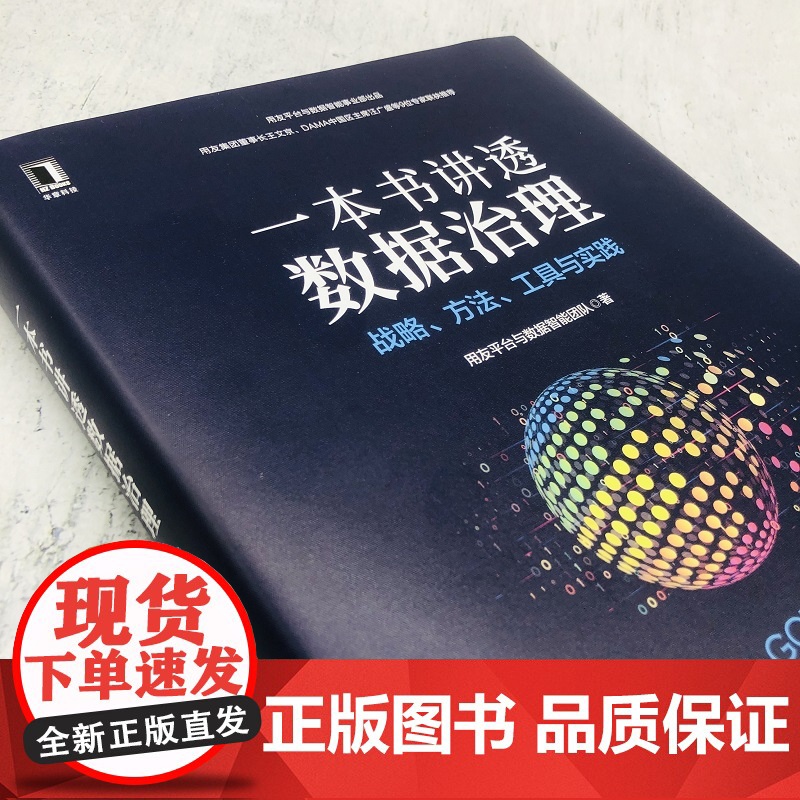 一本书讲透数据治理:战略方法工具与实践 用友平台与数据智能团队 用户画像 DAMA 标签 数据管理 著机械工业出版社 计高清大图