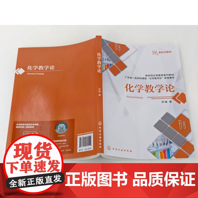 化学教学论 邓峰 化学知识论 化学学科本质基本观念大概念 化学学科教学知识 化学课程标准教科书概念理解学科能力问题解决教高清大图