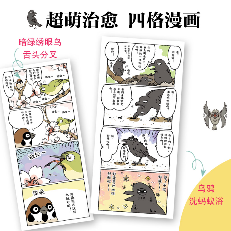 [正版]小鸟二三事 揭秘83种鸟类的行为特征 鸟类图鉴书 鸟类观察手册科普读物鸟类自然科学高清大图