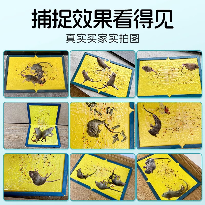 皎洁 强力粘鼠板 338*218*10mm 张高清大图