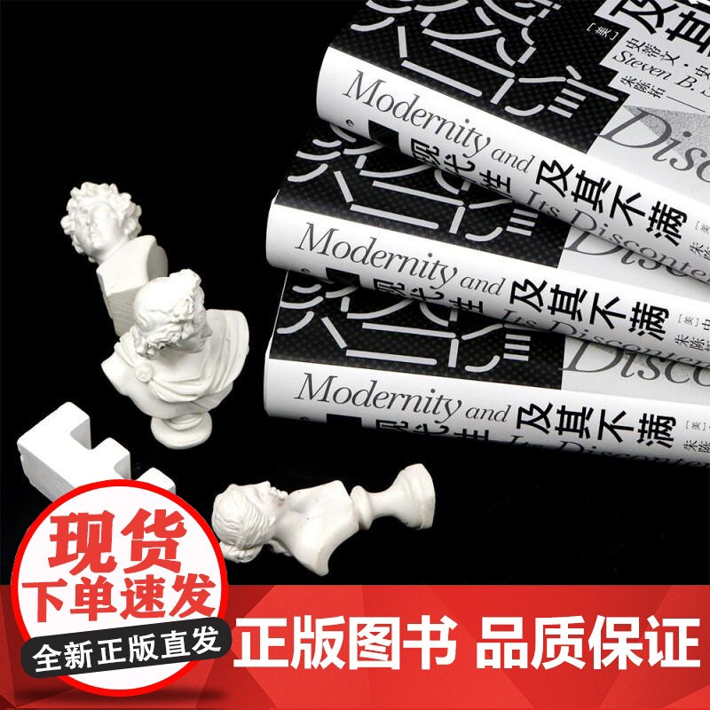现代性及其不满 智慧宫系列丛书012 政治哲学思想史文化批判现代性困境 西方哲学书籍 九州出版社 后浪出版高清大图