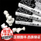 现代性及其不满 智慧宫系列丛书012 政治哲学思想史文化批判现代性困境 西方哲学书籍 九州出版社 后浪出版