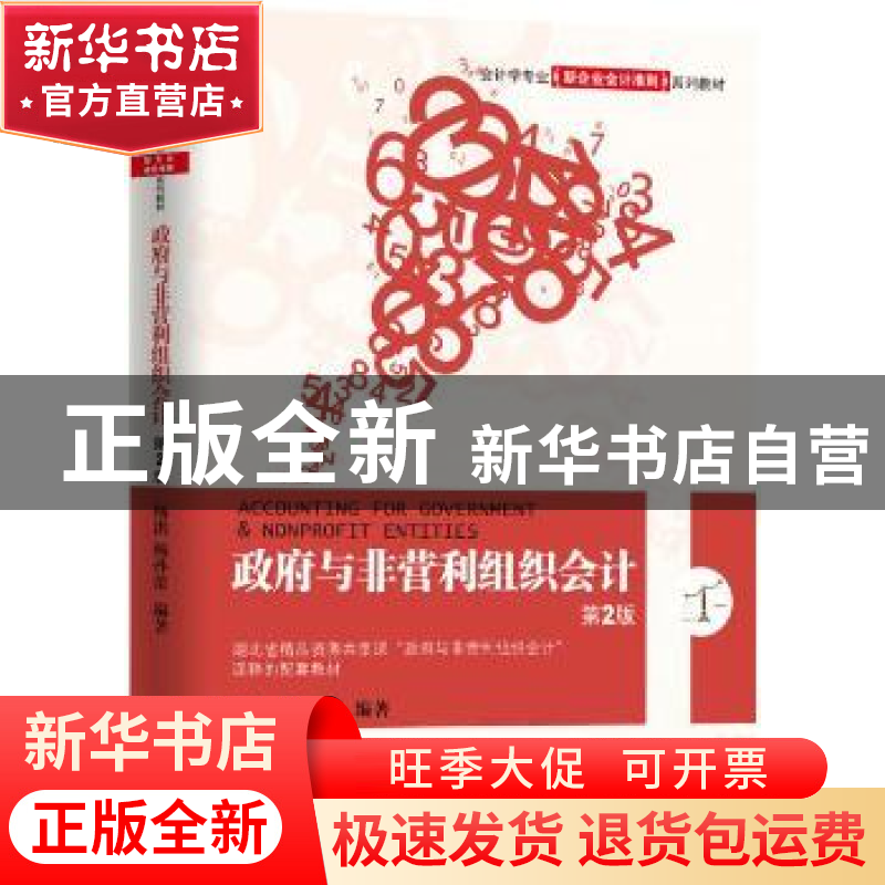 正版 政府与非营利组织会计 杨洪杨孙蕾 机械工业出版社 97871115