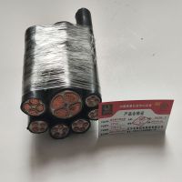 金电石 铠装硬铜芯电缆 YJV22 3*10+1*6 米