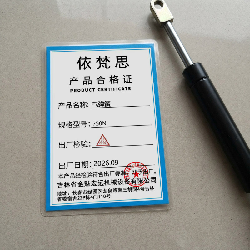 依梵思 气弹簧 750N 个高清大图