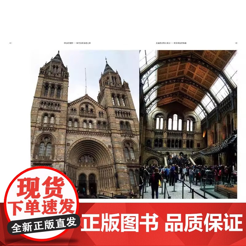 保守与激进 英国现当代建筑 刘彬 正版 设计 上海人民美术出版社 鲜活的“建筑教科书” 英国现当代建筑的发展历程高清大图