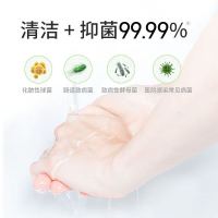 滴露泡沫洗手液西柚清新250ml(单位:件)