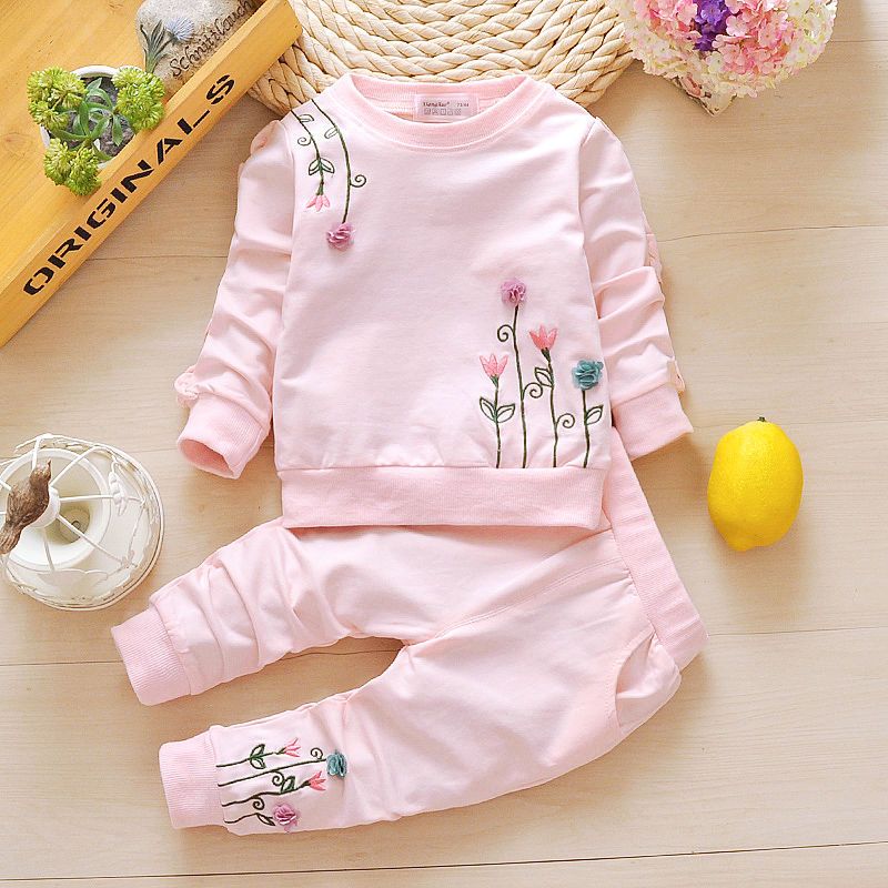 一周岁女宝宝衣服秋装6个月婴幼儿衣服7春秋8长袖9两件套女童套装 深