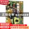 正版 中国文化:文学 王岳川主编 五洲传播出版社 9787508535562
