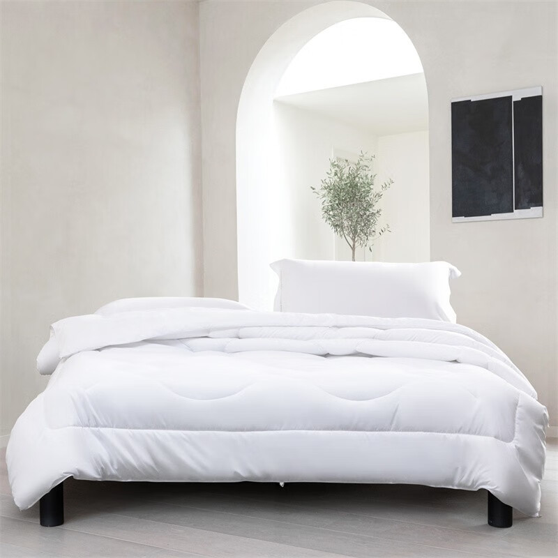 水星家纺抗菌被床上用品 DH依兰负离子抗菌被 200cm×230cm/条