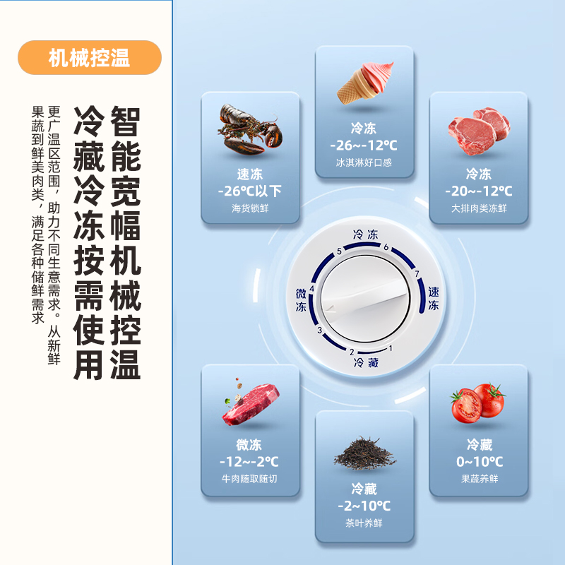 新飞(frestec)203升一级能效家商两用冷藏冷冻转换冰柜 单温大冷柜BC/BD-203KPF-2 米白色 203L高清大图