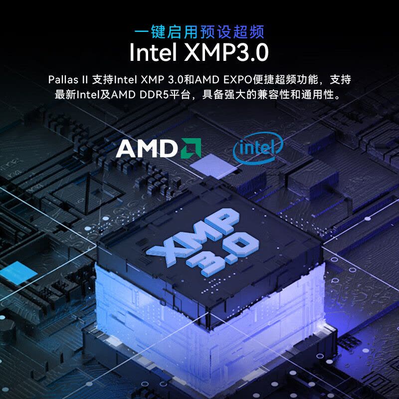 宏碁掠夺者48G(24G×2)套装 DDR5 6000频率 台式机内存条 Pallas II 凌霜系列(C28)石耀黑图片