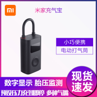 小米米家充气宝 便携打气筒自行车山地车汽车充气筒篮球电动气筒 数字胎压检测 预设压力充到即停 内置锂电