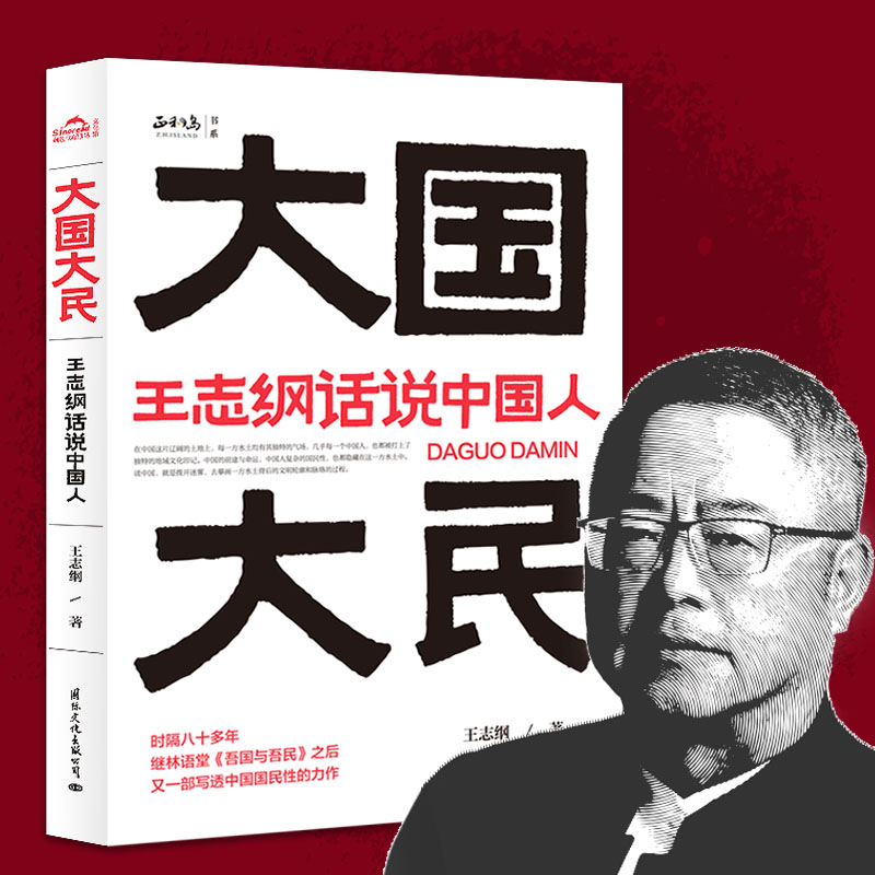 大国大民:王志纲话说中国人