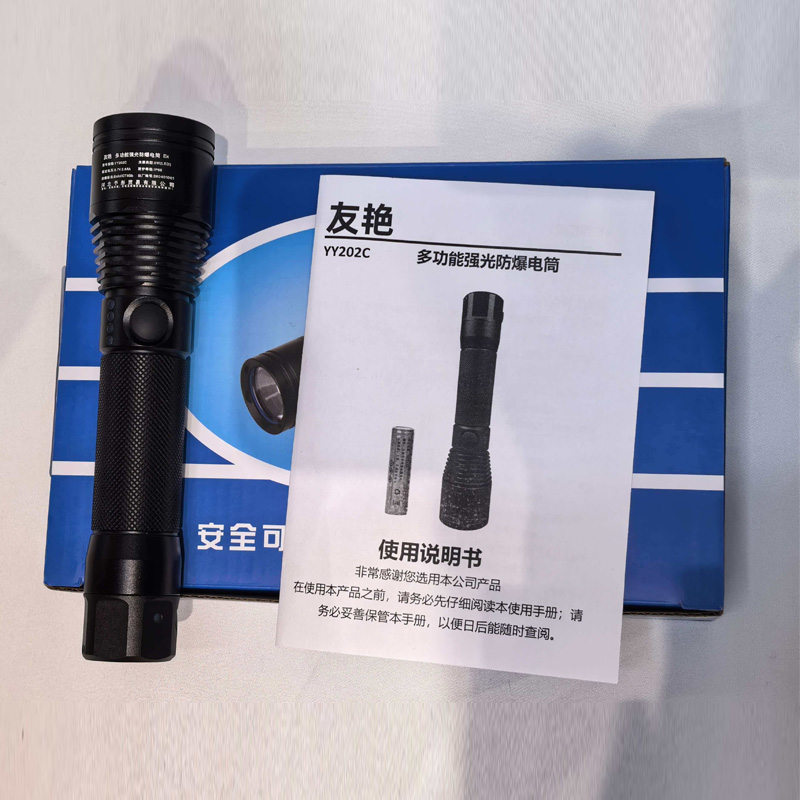 友艳LED灯YYDD-001/个高清大图