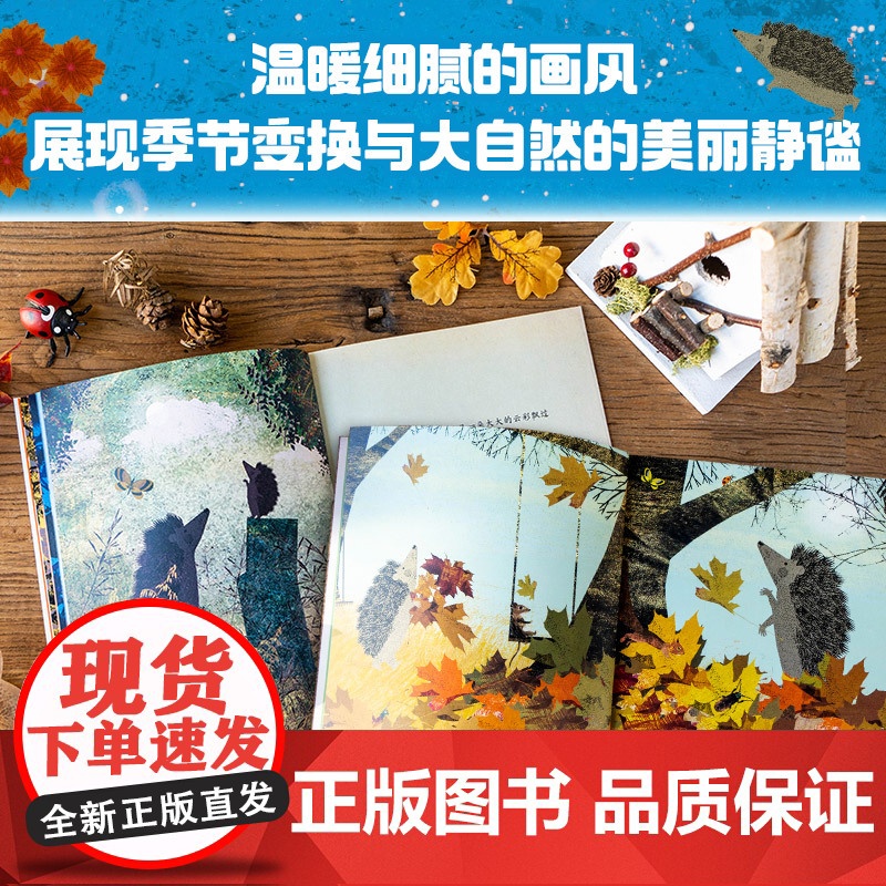 妈妈 能等我一会儿吗 帮孩子建立内心安全感的绘本 好奇心好胜心恐惧心理树立自信心拥有强大内核 让孩子勇敢坚强无畏成长高清大图