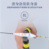 佳钓尼浮漂正品纳米鱼漂加粗醒目高灵敏特价鲫鲤鱼漂套装全套浮标