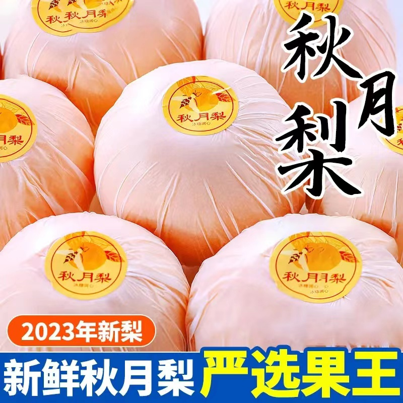正宗秋月梨梨子5/10斤薄皮新鲜超甜孕妇水果礼盒装