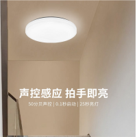小器鬼 LED声控吸顶灯11W