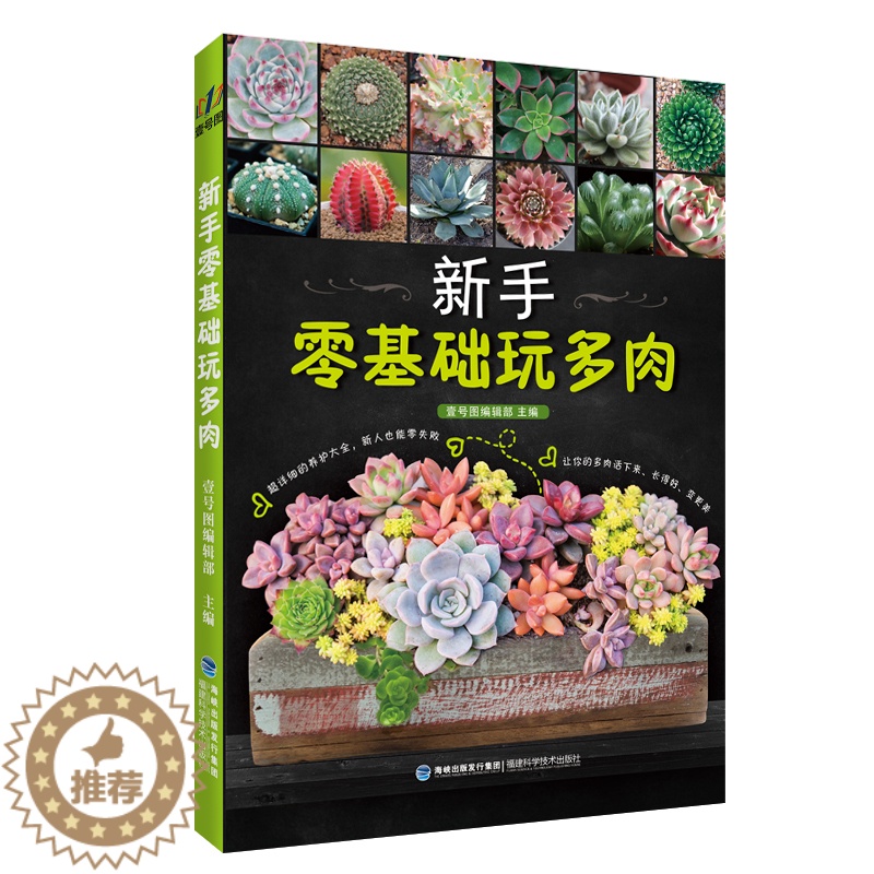 [醉染正版]新手零基础玩多肉 多肉种植书养花书种花大全多肉书籍大全和二木一起玩多肉花艺书 多肉养殖书籍新手养多肉不败指南高清大图