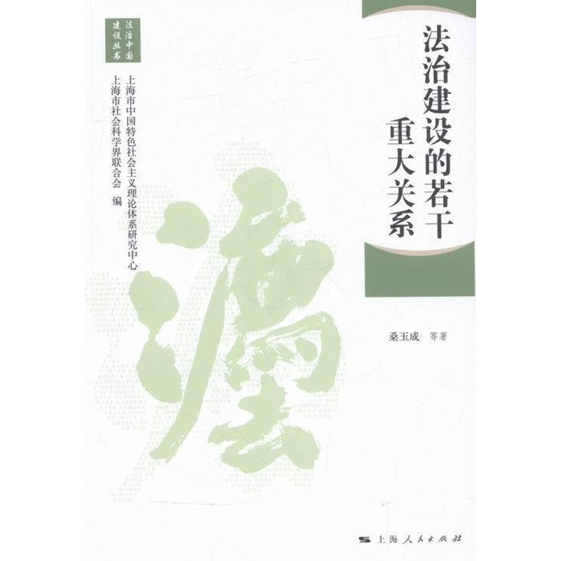 [正版]法治建设的若干重大关系桑玉成等社会义法制建设研究中国 书法律书籍