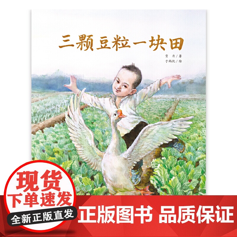 中少阳光图书馆 三颗豆粒一块田高清大图