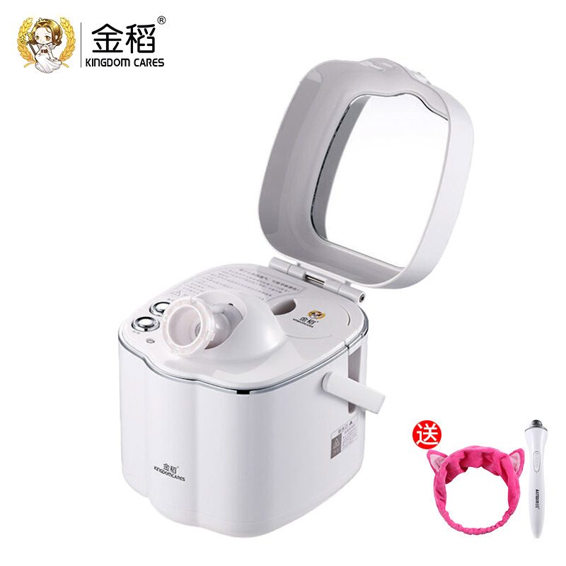 金稻(kingdom)彩光热喷蒸脸器 KD2332 彩光离子护肤 家用美容仪 脸部喷雾加湿器 蒸脸机