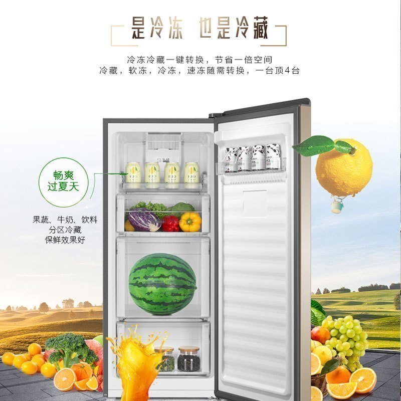海尔(Haier) 立式冰柜 138升容量 风冷无霜 独立分区储存 一级能效 电脑温控 家用立式冰柜冷柜 BD-138W高清大图