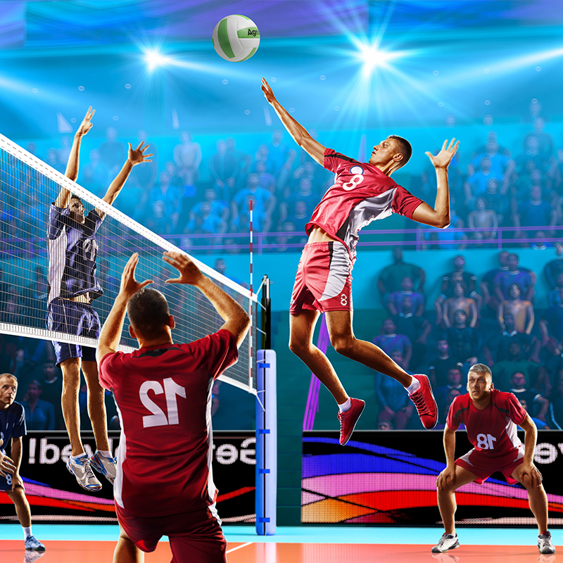 安格耐特(agnite)f1251 5号pvc软式贴片排球 室内外通用