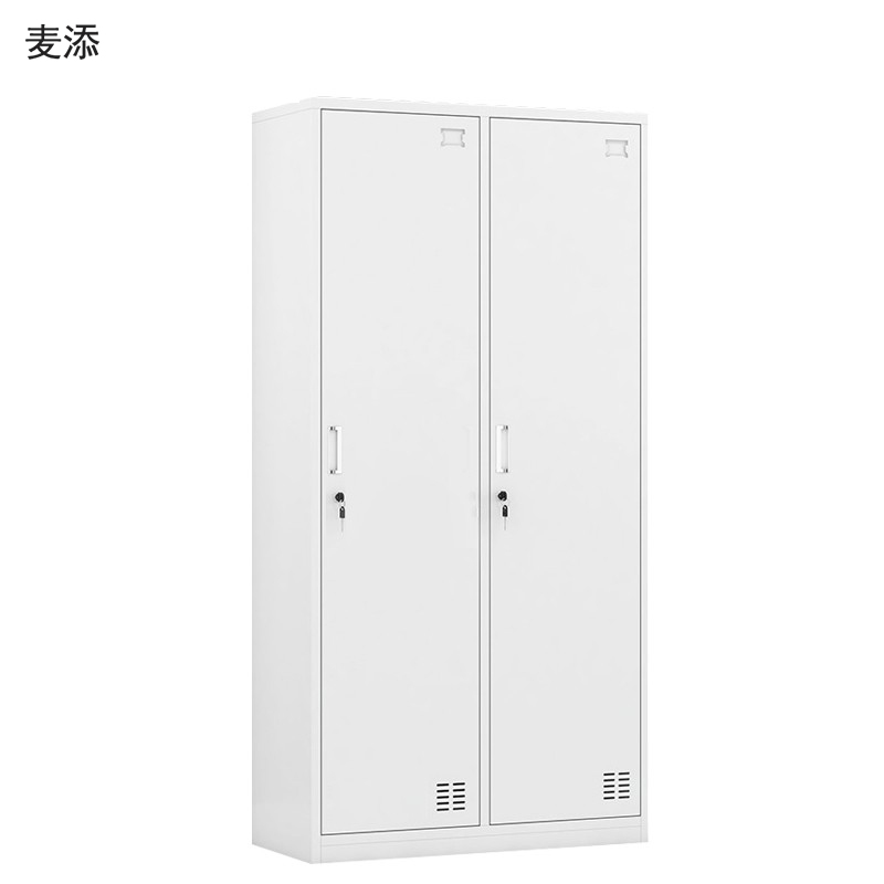 麦添 钢制二门更衣柜 GYG002个高清大图