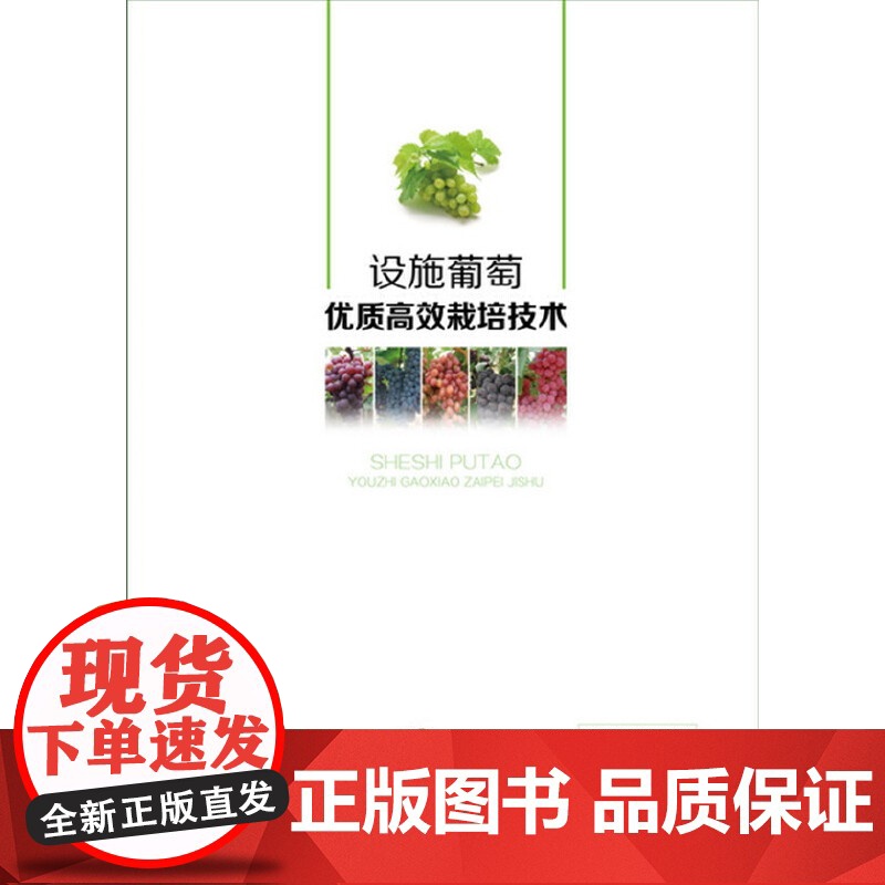设施葡萄优质高效栽培技术 孟凡丽 化学工业出版社 正版书籍高清大图