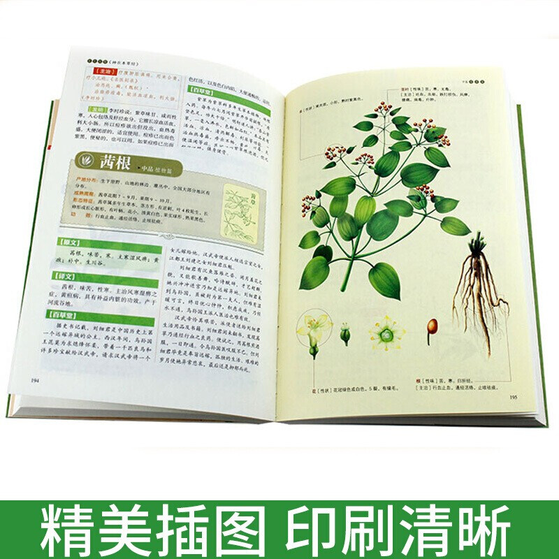 [醉染正版]神农本草经 正版 彩图版 加厚版原著原版珍藏本现代家庭养生指导中医养生入门中医古籍出版社日常食疗食养图书高清大图