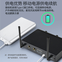 得胜 X3HH UHF调频一拖二无线麦克风 双手持式话筒 户外演出教学舞台会议K歌适用 连接功放一体式音响弹唱音箱