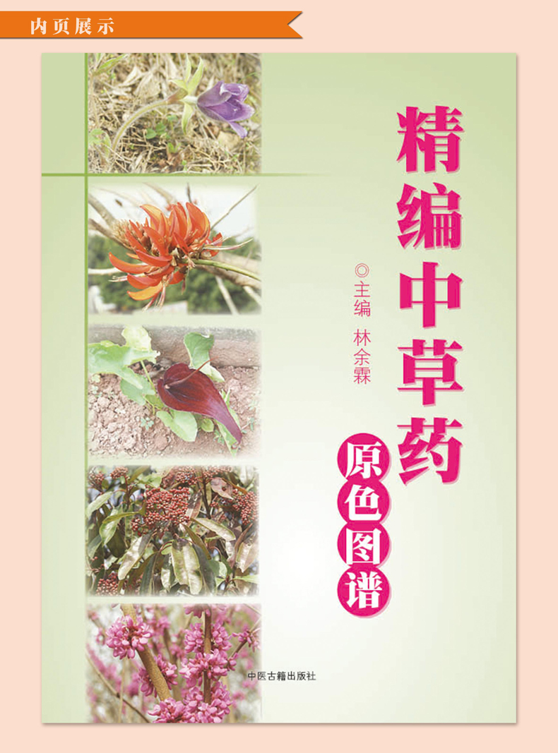 [正版]全3册精编中草药+本草纲目+中国药典中药原色图谱 中草药全图鉴速查手册图谱中国药材图鉴大全常用中草药识别应用中高清大图